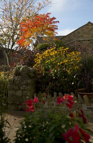 Theaked Stones Cottage Curlew 34 sm.jpg